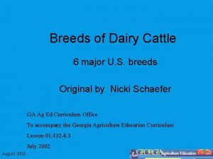 Breeds of Dairy Cattle 6 major U S