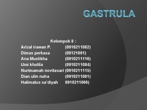 Hipoblast Hipoblast