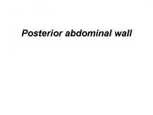 Posterior abdominal wall Posterior abdominal wall Structures of