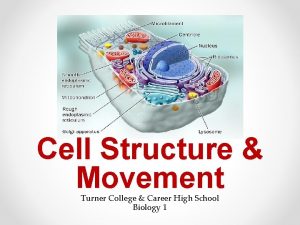 Cell Structure Movement Turner College Career High School