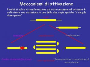 Meccanismi di attivazione Perch si abbia la trasformazione