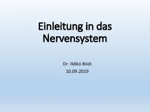 Einleitung in das Nervensystem Dr Ildik Bdi 10