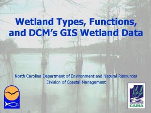 Wetland Types Functions and DCMs GIS Wetland Data