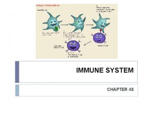 IMMUNE SYSTEM CHAPTER 48 I Immune System Components