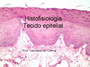 Histofisiologia Tecido epitelial Prof Leonardo M Crema Origem