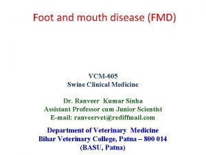 Foot and mouth disease FMD VCM605 Swine Clinical