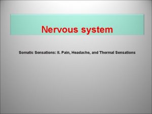 Nervous system Somatic Sensations II Pain Headache and