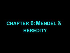 CHAPTER 6 MENDEL HEREDITY Mendels Breeding Experiments The