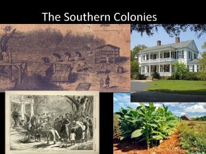 The Southern Colonies The Southern Colonies The Southern