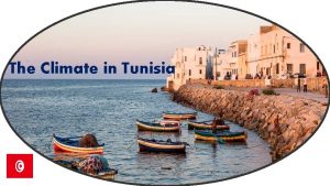 The Climate in Tunisia In Tunisia the climate