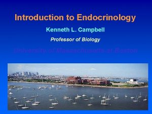 Introduction to Endocrinology Kenneth L Campbell Professor of