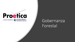 Gobernanza Forestal Protica desde el 2011 implementa el