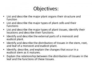 Objectives List and describe the major plant organs