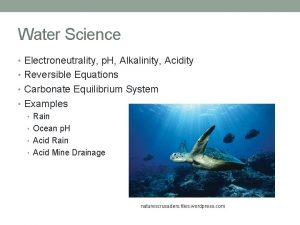 Water Science Electroneutrality p H Alkalinity Acidity Reversible