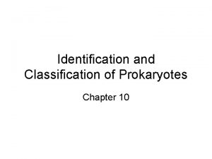 Identification and Classification of Prokaryotes Chapter 10 Identification