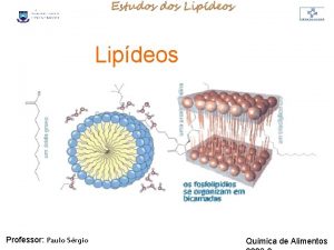 LIPDIOS Lipdeos Professor Paulo Srgio Qumica de Alimentos