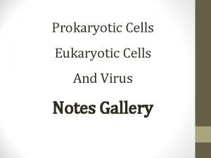 Prokaryotic Cells Eukaryotic Cells And Virus Notes Gallery