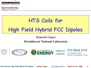 Superconducting Magnet Division HTS Coils for High Field