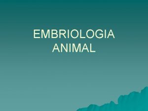 EMBRIOLOGIA ANIMAL EMBRIOLOGIA ANIMAL u Conceito o estudo