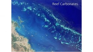 Reef Carbonates Definition of a reef 1 Rigid