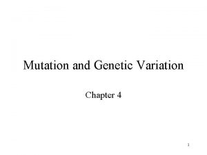 Mutation and Genetic Variation Chapter 4 1 Mutation