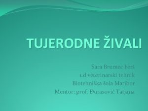 TUJERODNE IVALI Sara Brumec Fer 1 d veterinarski