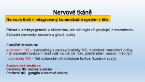 Nervov tkn Nervov tk integrovan komunikan systm v