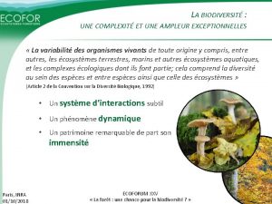 LA BIODIVERSIT UNE COMPLEXIT ET UNE AMPLEUR EXCEPTIONNELLES