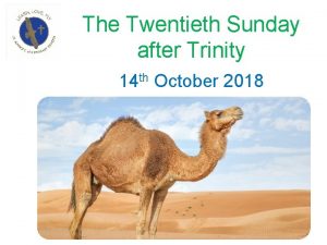 Twentieth sunday after trinity