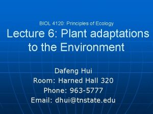BIOL 4120 Principles of Ecology Lecture 6 Plant