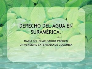 DERECHO DEL AGUA EN SURAMRICA MARIA DEL PILAR