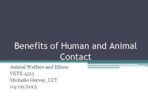 Benefits of Human and Animal Contact Animal Welfare