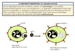 LA RESPUESTA INMUNITARIA I La respuesta humoral 1