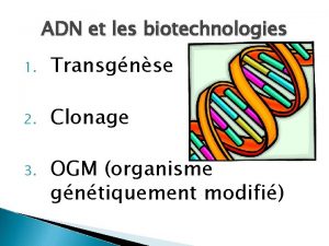 ADN et les biotechnologies 1 Transgnse 2 Clonage