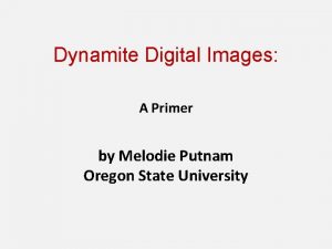 Dynamite Digital Images A Primer by Melodie Putnam