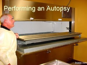 Performing an Autopsy bsapp com What Warrants an