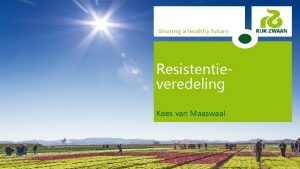 Resistentieveredeling Kees van Maaswaal Rijk Zwaan Wat doet