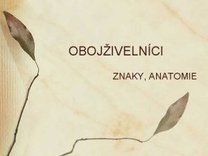 OBOJIVELNCI ZNAKY ANATOMIE OBOJIVELNCI ZNAKY Pvod pravdpodobn vvoj