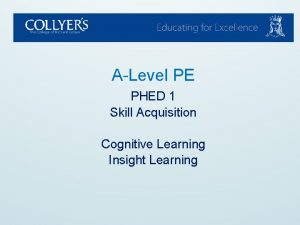 What is insight learning pe