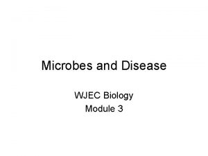 Microbes and Disease WJEC Biology Module 3 Microbes