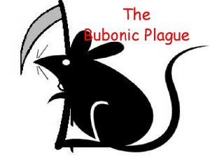 The Bubonic Plague The Bubonic Plague First emerged