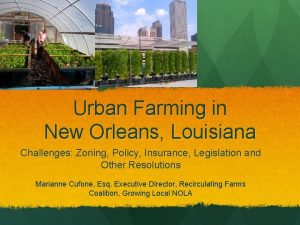 Urban Farming in New Orleans Louisiana Challenges Zoning