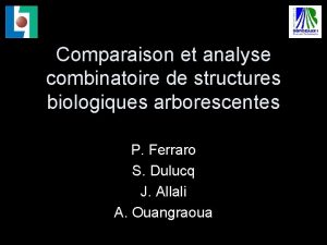 Comparaison et analyse combinatoire de structures biologiques arborescentes