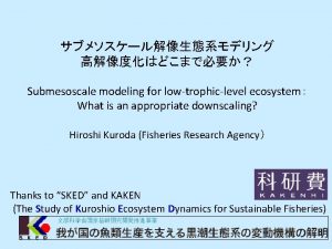 Submesoscale modeling for lowtrophiclevel ecosystem What is an