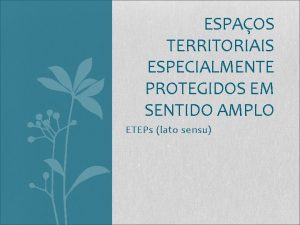 ESPAOS TERRITORIAIS ESPECIALMENTE PROTEGIDOS EM SENTIDO AMPLO ETEPs