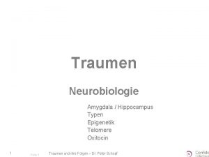 Traumen Neurobiologie Amygdala Hippocampus Typen Epigenetik Telomere Oxitocin