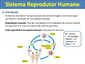 Sistema Reprodutor Humano 1 Introduo O sistema reprodutor