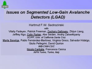 Issues on Segmented LowGain Avalanche Detectors LGAD Hartmut