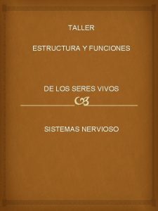 TALLER ESTRUCTURA Y FUNCIONES DE LOS SERES VIVOS