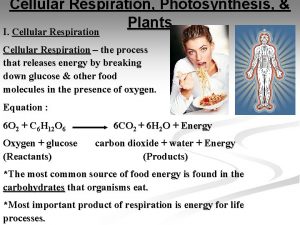 Cellular Respiration Photosynthesis Plants I Cellular Respiration the